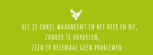 word je eigen psychiater - als je enkel waarneemt in het hier en nu zonder te oordelen zijn er helemaal geen problemen - Commit Happiness sharable