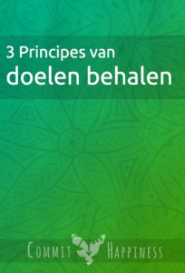 3 Principes van doelen behalen